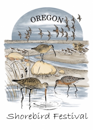 Shorebird Festival in Illustrations